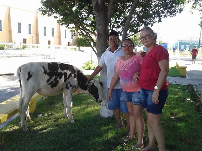 Bingo beneficente para Francisco Edílson (Banana) acontecerá hoje, 27. - Imagem 5