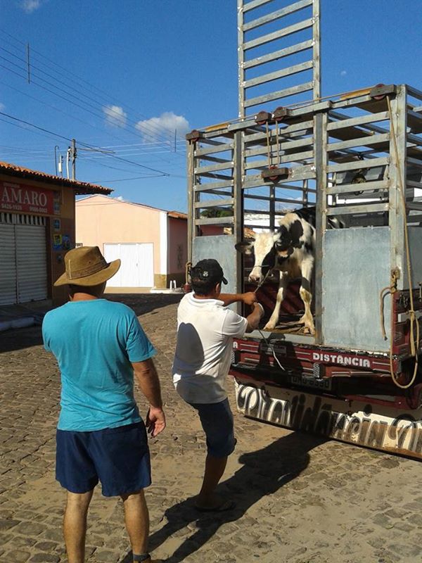 Bingo beneficente para Francisco Edílson (Banana) acontecerá hoje, 27. - Imagem 1