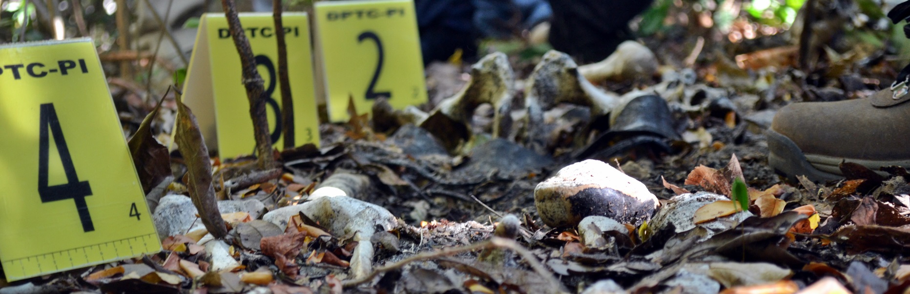 Esqueleto humano é encontrado dentro de matagal em Parnaíba