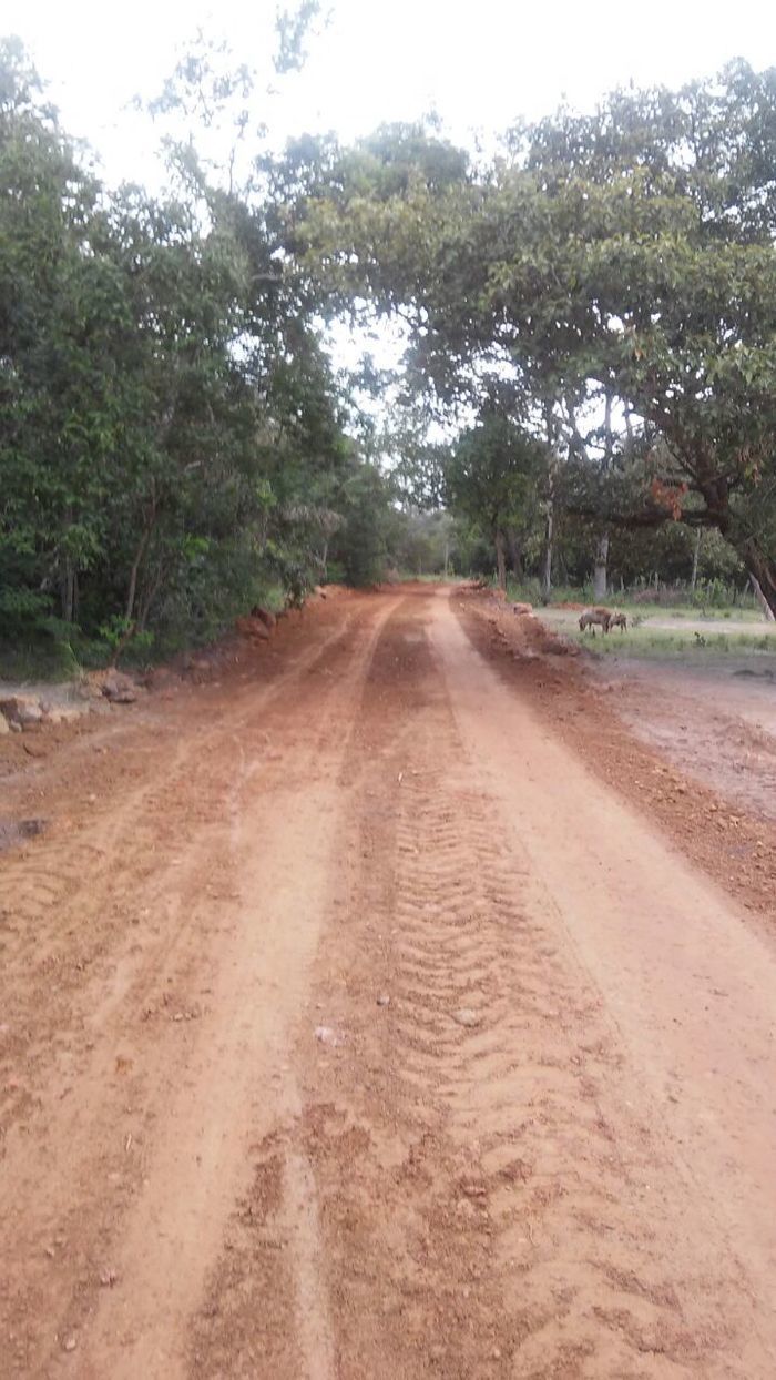 Prefeitura de Boa Hora não para e constrói mais estradas na Zona Rural do município. - Imagem 4