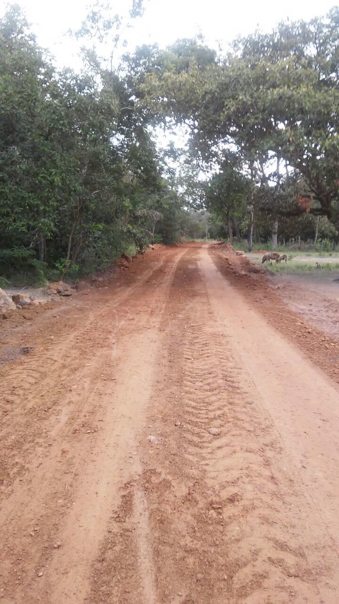 Prefeitura de Boa Hora não para e constrói mais estradas na Zona Rural do município. - Imagem 1