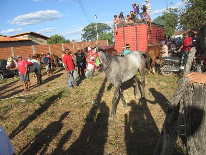 Tradicional Corrida de Cavalos de Olho D´Água do Piaui - Imagem 6