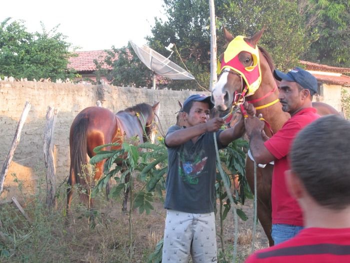 Tradicional Corrida de Cavalos de Olho D´Água do Piaui - Imagem 22