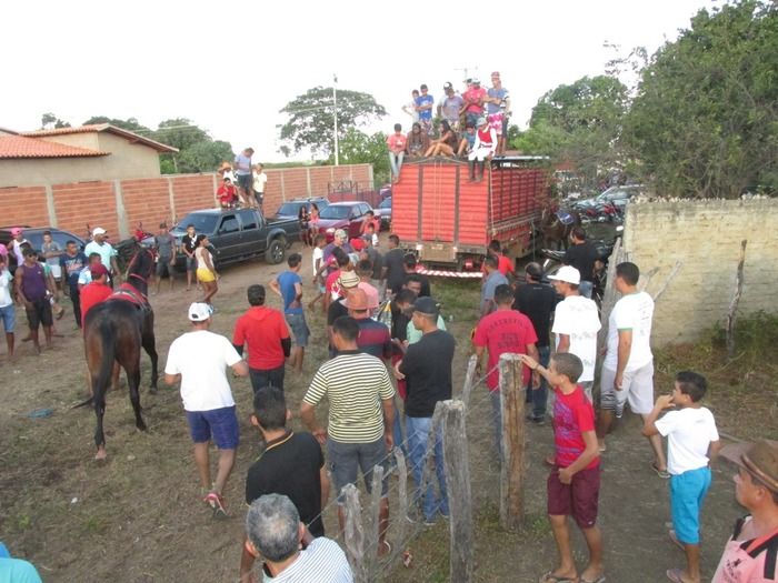 Tradicional Corrida de Cavalos de Olho D´Água do Piaui - Imagem 20