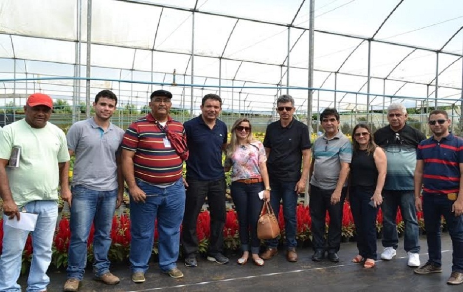 Projeto visa instalar polo de produção de rosas em Pedro II