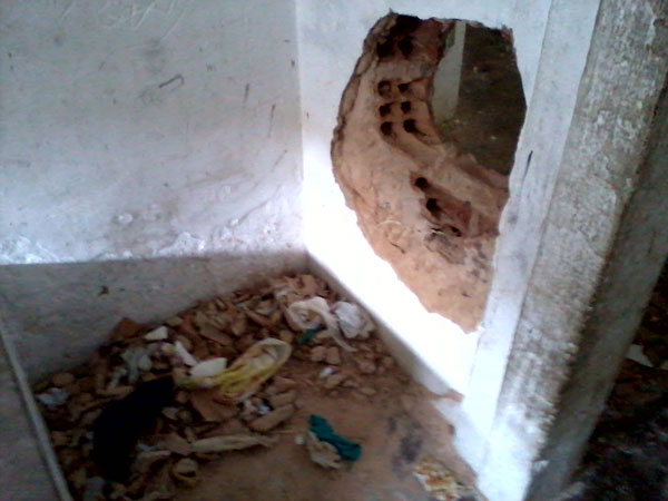 Foragido da Penitenciária Mista de Parnaíba é recapturado no Ceará - Imagem 2