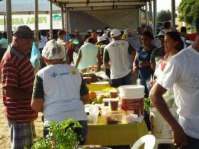 II Feira Agroecológica - Imagem 2