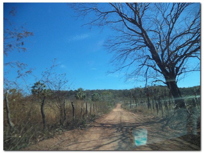 Prefeitura de Inhuma recupera estradas vicinais do município - Imagem 13