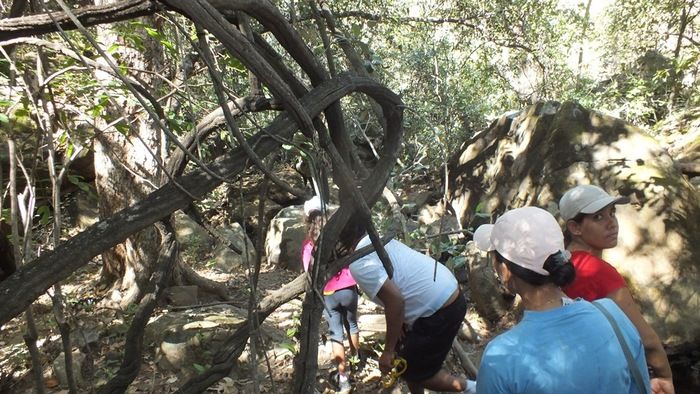 Equipe Marco Zero de Aventuras e Desbravadores DEL realizaram o primeiro Curso Básico de Bushcraft no Piauí.  - Imagem 47