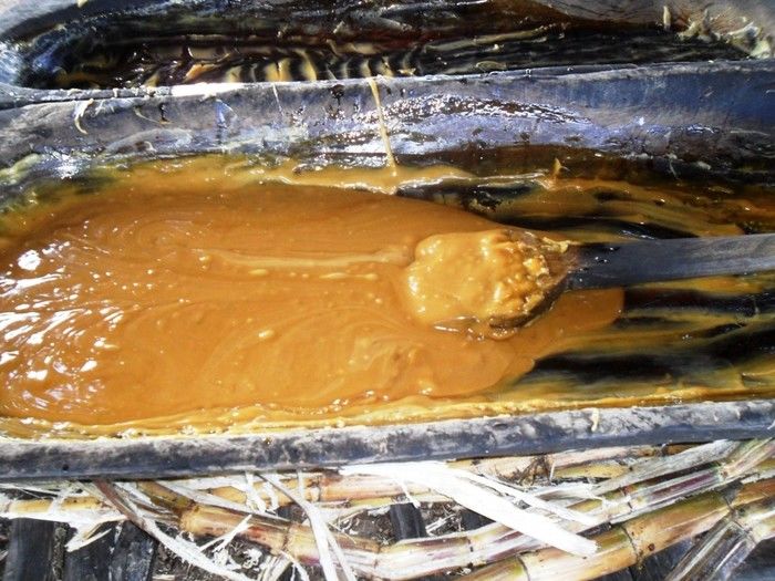 Boa Hora, Capital Nordestina da Rapadura e dos verdes canaviais - Imagem 2