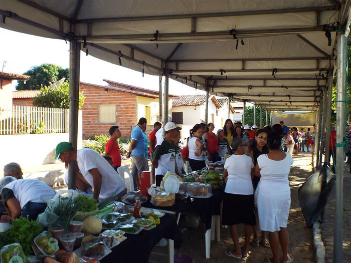 II Feira agroecologica - Imagem 2