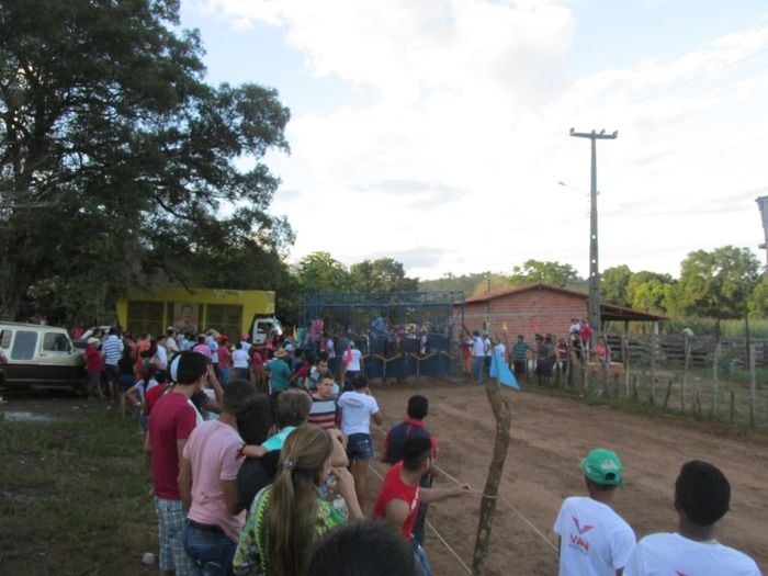 Confira como Foi a Tradicional Corrida de Cavalos do Empresário Vanderley no Baixão dos Ribeiros - Imagem 28