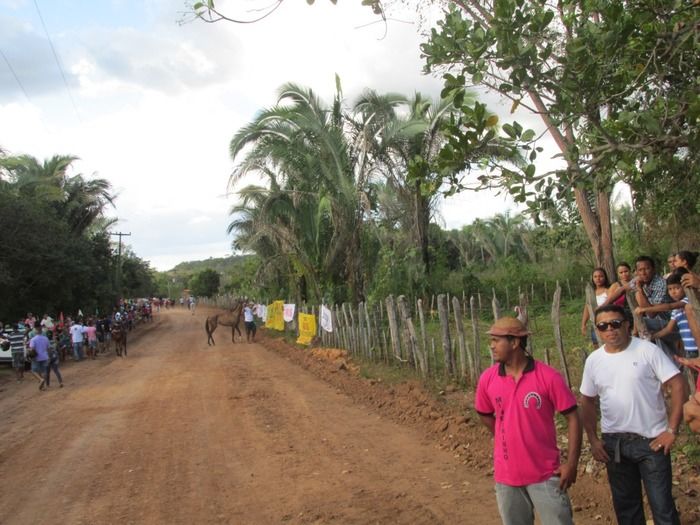Confira como Foi a Tradicional Corrida de Cavalos do Empresário Vanderley no Baixão dos Ribeiros - Imagem 13