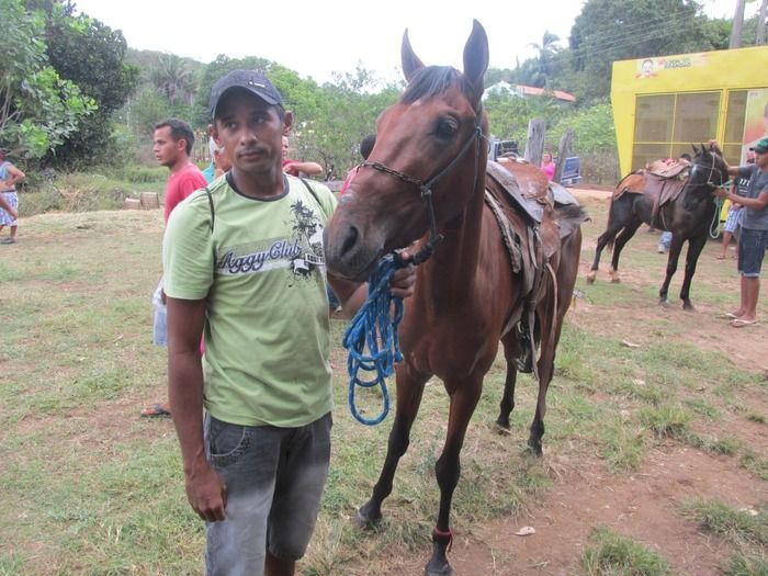 Confira como Foi a Tradicional Corrida de Cavalos do Empresário Vanderley no Baixão dos Ribeiros - Imagem 7