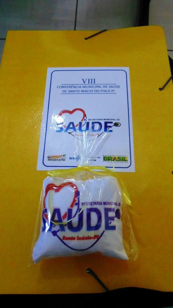 Município de Santo Inácio do Piauí realizou VIII conferência da Saúde - Imagem 3