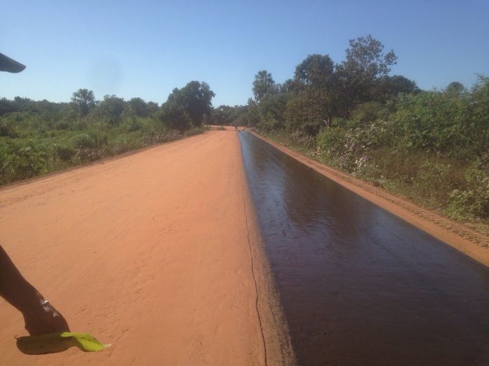 Asfaltamento da PI-331 continua de forma acelerado - Imagem 2