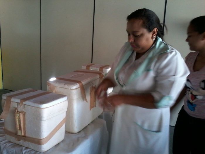 Secretaria de Saúde de Boa Hora inicia campanha de vacinação contra a Poliomielite. - Imagem 4