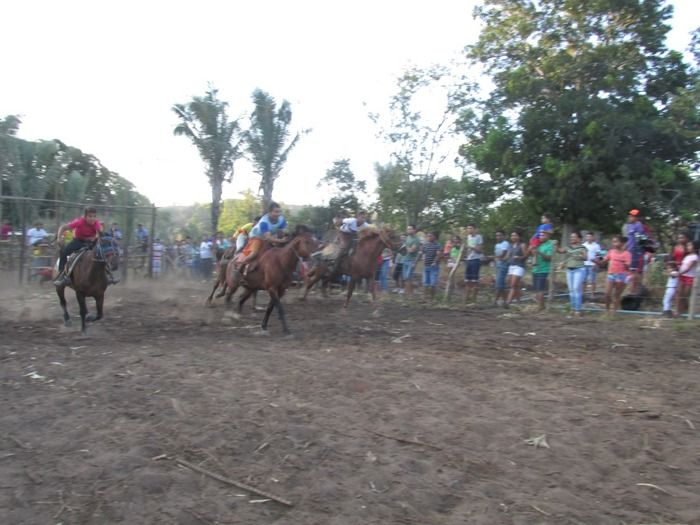 Confira a 4ª Corrida de Cavalos do Empresário Vanderley em Miguel Leão - Imagem 23