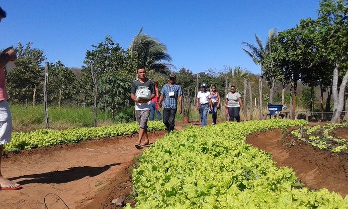 Produtores rurais de Oeiras participam de capacitação em hortas orgânicas - Imagem 4