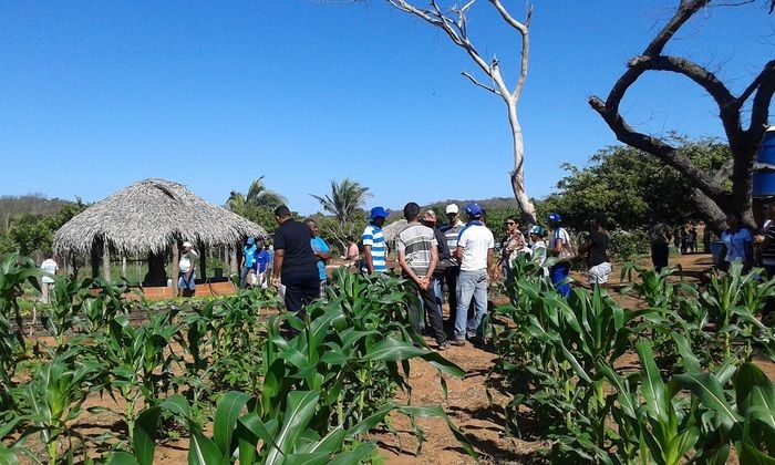 Produtores rurais de Oeiras participam de capacitação em hortas orgânicas - Imagem 9