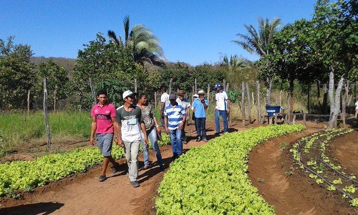 Produtores rurais de Oeiras participam de capacitação em hortas orgânicas - Imagem 7