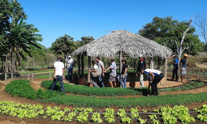 Produtores rurais de Oeiras participam de capacitação em hortas orgânicas - Imagem 8