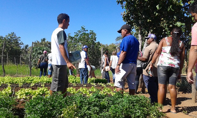 Produtores rurais de Oeiras participam de capacitação em hortas orgânicas - Imagem 2