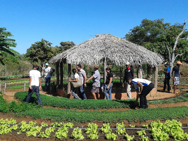 Produtores rurais de Oeiras participam de capacitação em hortas orgânicas