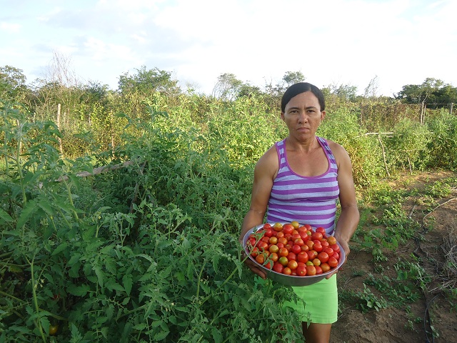 Feira de produtos orgânicos acontece em Oeiras - Imagem 2