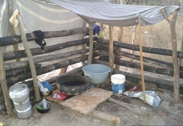 Família mora dentro de um curral na região de Campo Maior  - Imagem 2