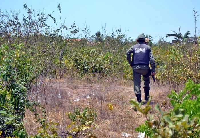 Serviço Reservado da PM apreende maconha, crack e munições em Parnaíba - Imagem 2