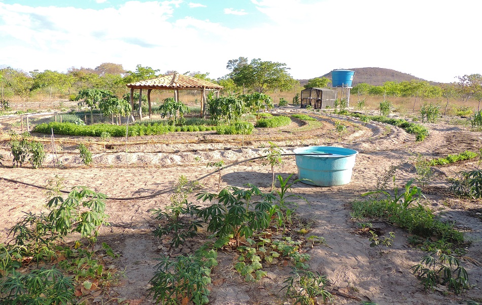 Assentamento Barra do Rio recebe visitantes para um Dia de Campo
