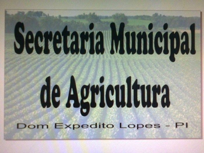 Poliesportivo Tio Zé em Dom Expedito Lopes sedia 1ª Copa Del de Jiu-Jitsu - Imagem 141