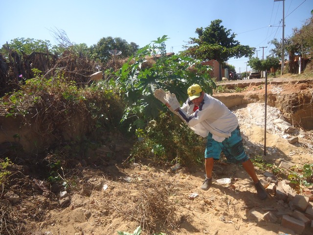 Começa a Recuperação da Rua José Neném - Imagem 4