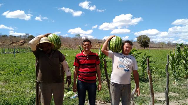 Programa de Aquisição de Alimentos é realidade em Pimenteiras - Imagem 1