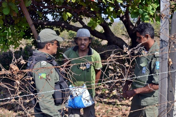 Suspeito de furtos é preso pela Polícia Militar em Parnaíba  - Imagem 2