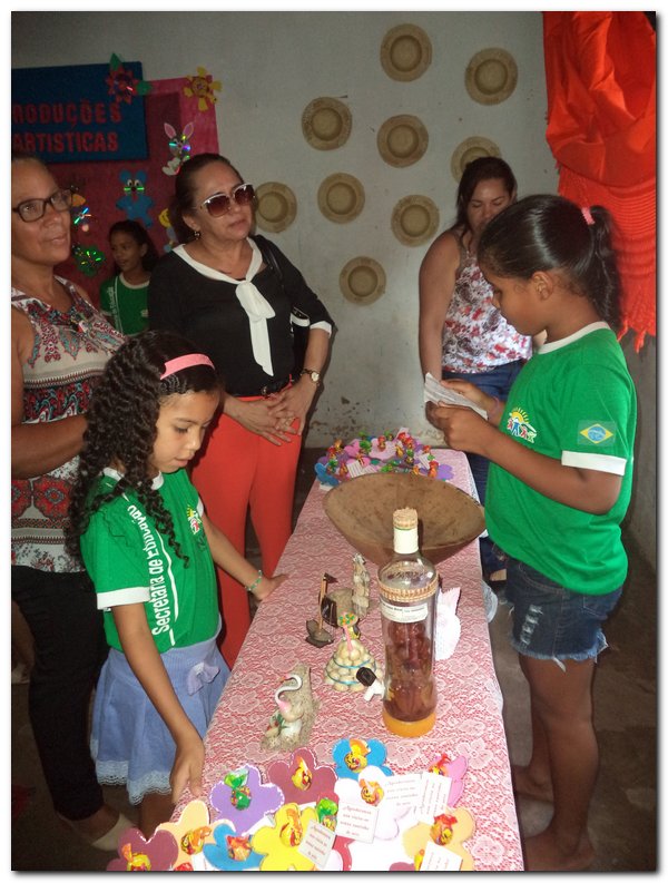 Escola Municipal Tia Neném Brito realiza V Feira de Ciências e Conhecimento - Imagem 53