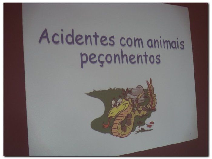 Escola Municipal Tia Neném Brito realiza V Feira de Ciências e Conhecimento - Imagem 35