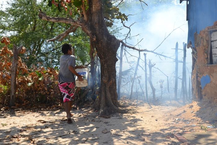 Incêndio em terreno abandonado atinge residência no litoral do Piauí - Imagem 4