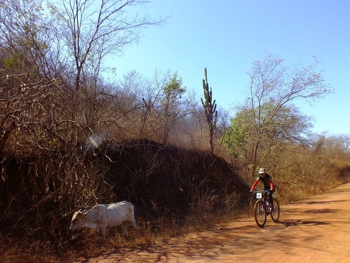 Brasileiro de ciclismo contou com 400 atletas brigando por título em Picos/Dom Expedito Lopes  - Imagem 98
