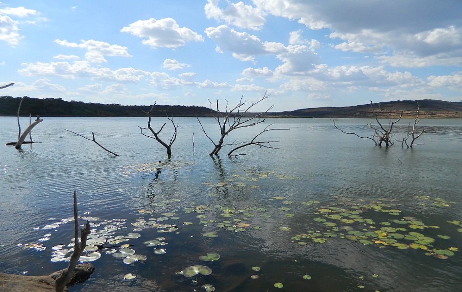 Governo do Estado autoriza licitação para adutora em Pedro II