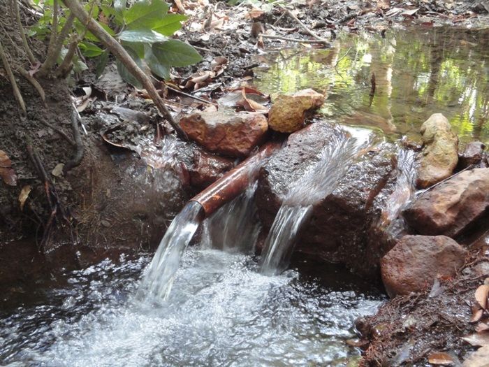 Única fonte de água natural pode secar - Imagem 17