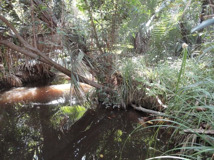 Única fonte de água natural pode secar - Imagem 1