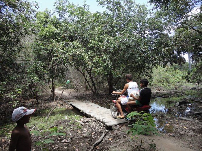 Única fonte de água natural pode secar - Imagem 25