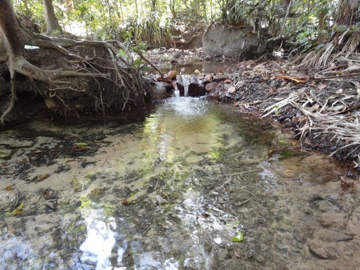 Única fonte de água natural pode secar - Imagem 16