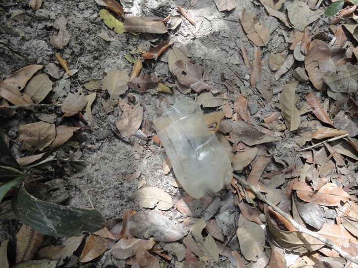 Única fonte de água natural pode secar - Imagem 8