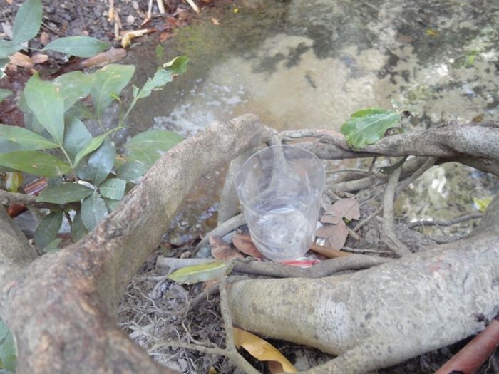 Única fonte de água natural pode secar - Imagem 6