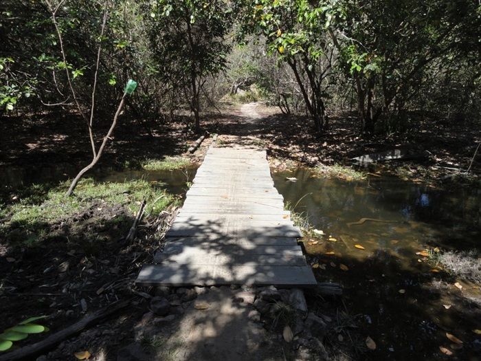 Única fonte de água natural pode secar - Imagem 2
