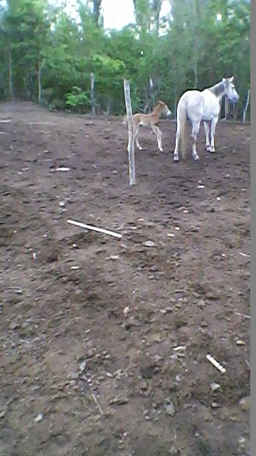 Vereador Jocione de Agricolândia recebe amigos em sua residência  - Imagem 7