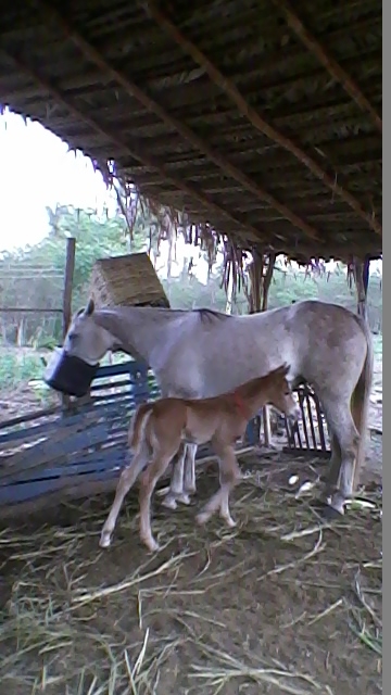 Vereador Jocione de Agricolândia recebe amigos em sua residência  - Imagem 6
